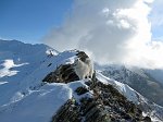 Salita al Passo e Cima di Lemma innevati (9 nov.08)  - FOTOGALLERY